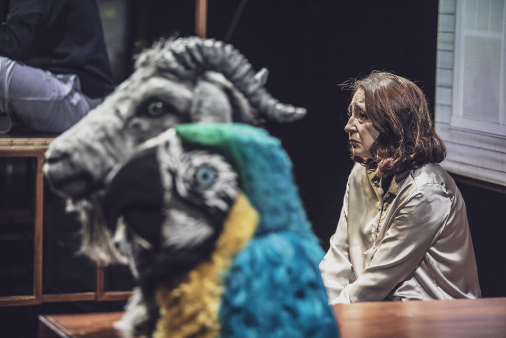 Zdjęcie ze spektaklu Kruk z Tower. Na pierwszym planie obok siebie stoją głowy papugi i kozła. Na drugim planie siedzi kobieta w średnim wieku.