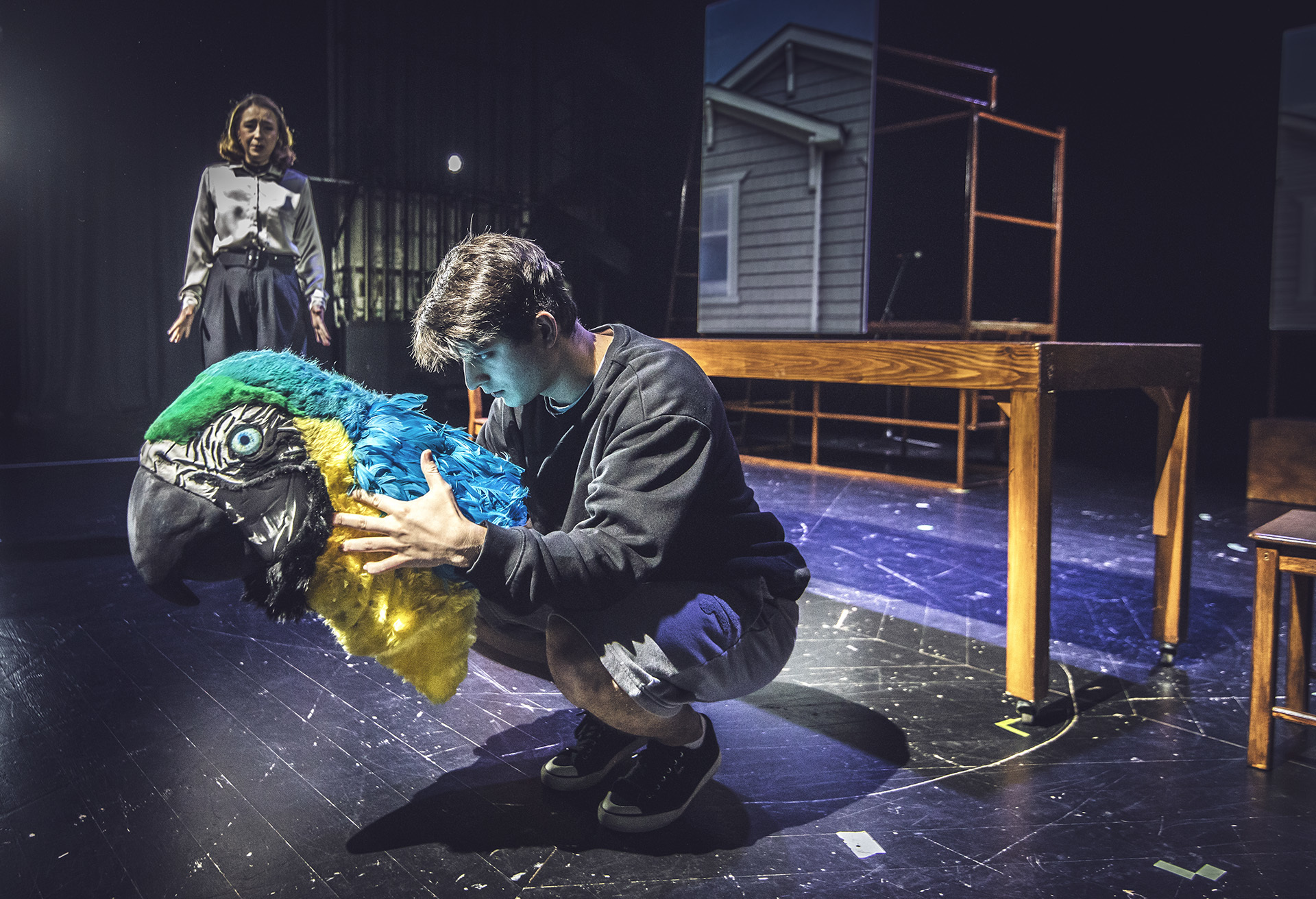 Plakat: KRUK Z TOWER